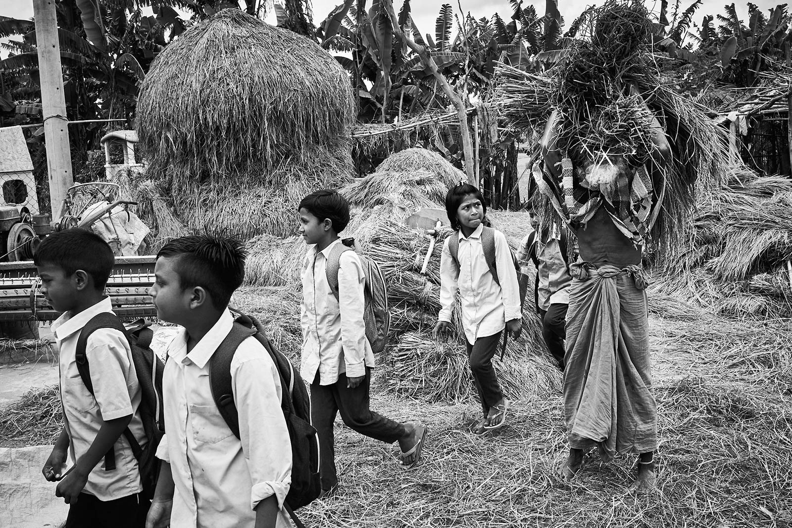 <p>​Towards the fields, Bogura Island Village</p>