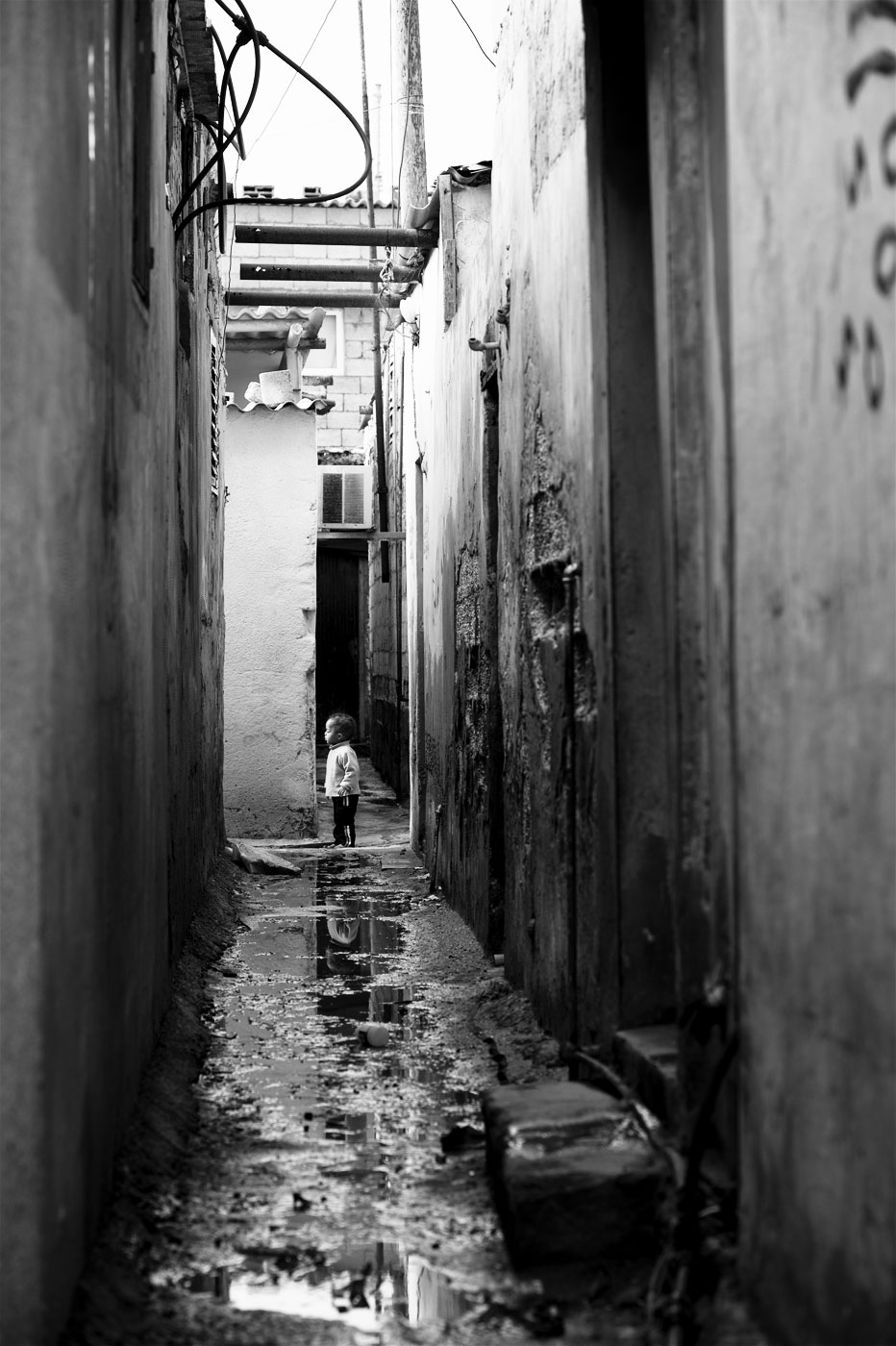 <p>Photograph by Anthony Dawton.</p>