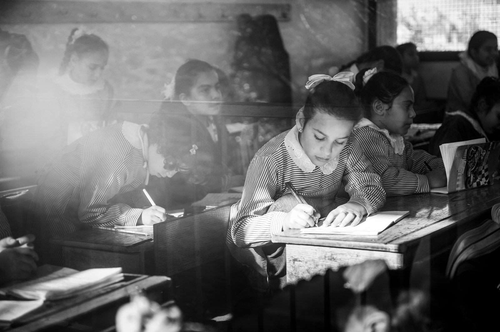 <p>Photograph by Giuseppe Aquili.</p>